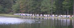 Memory Walk 2006 in Cary, North Carolina