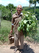 Dominicanos all exercise -- by necessity.